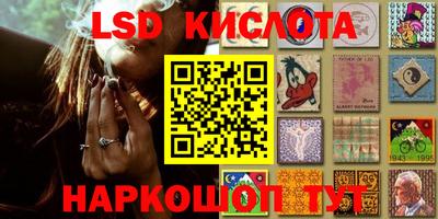 стаф Чебоксары