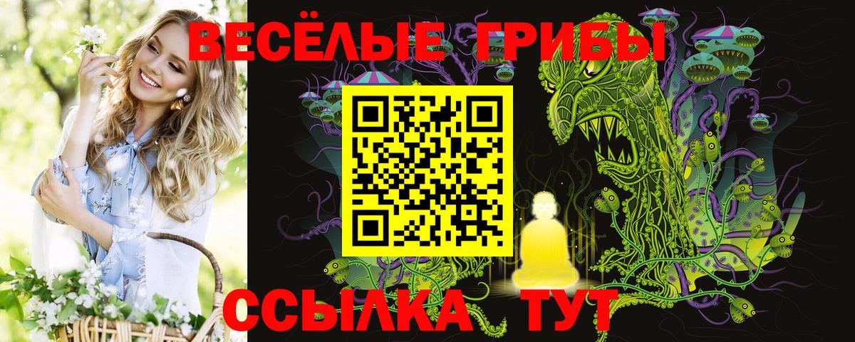 Галлюциногенные грибы прущие грибы  Урай 